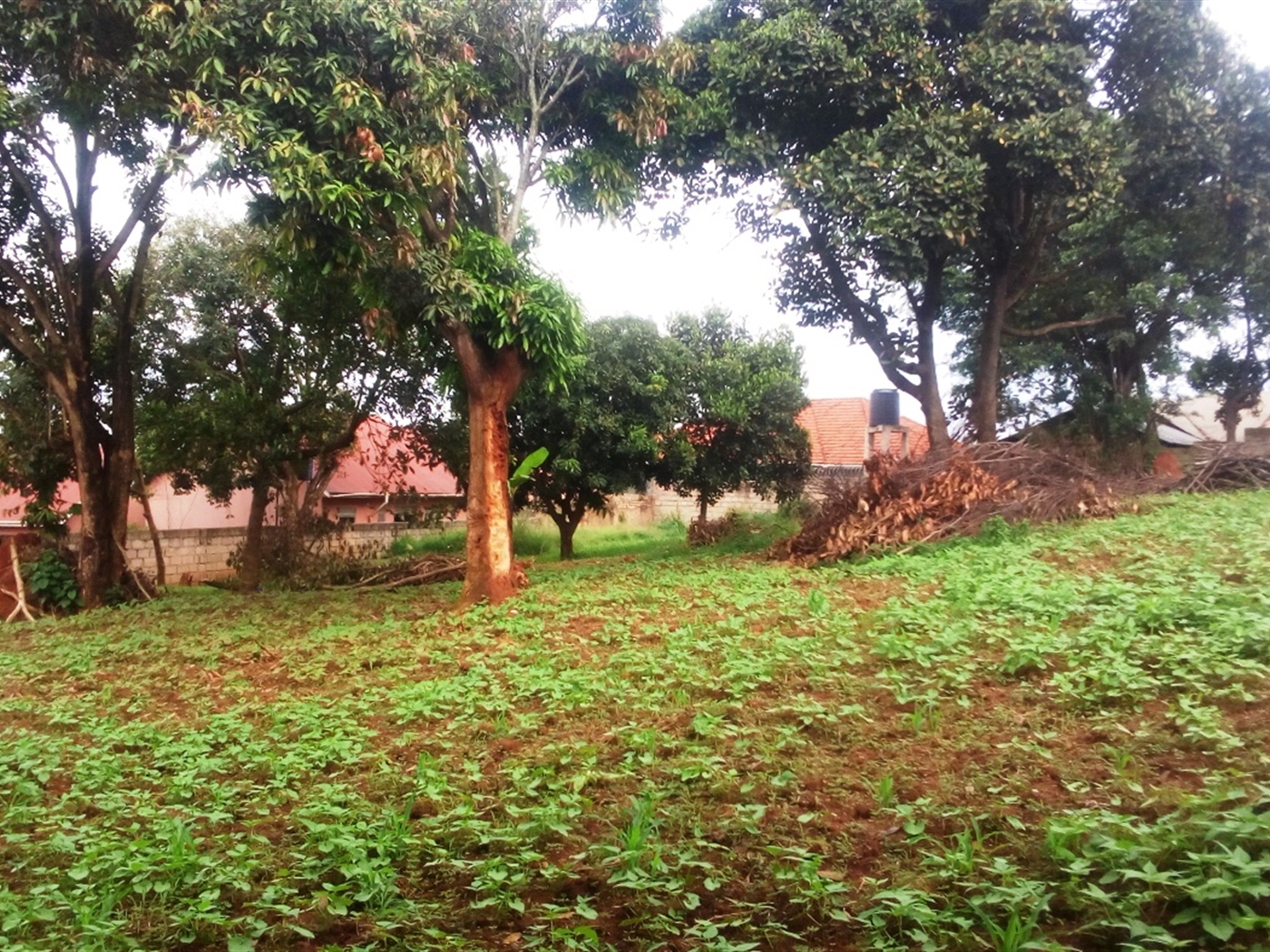 Residential Land for sale in Buziga Kampala