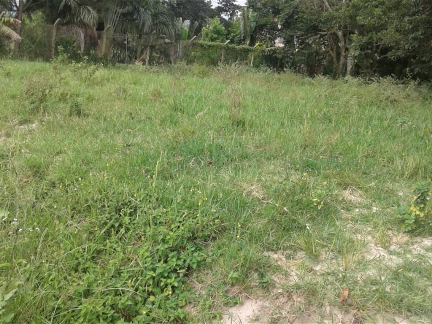 Agricultural Land for sale in Garuga Wakiso