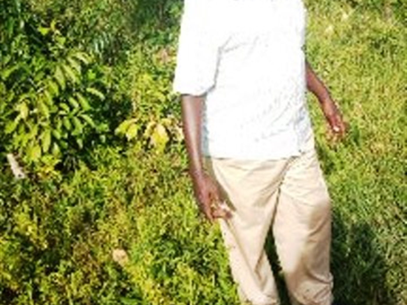 Agricultural Land for sale in Sibukunja Mukono