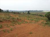 Residential Land for sale in Namulanda Wakiso