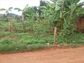 Residential Land for sale in Bwebajja Wakiso