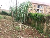 Residential Land for sale in Munyonyo Kampala