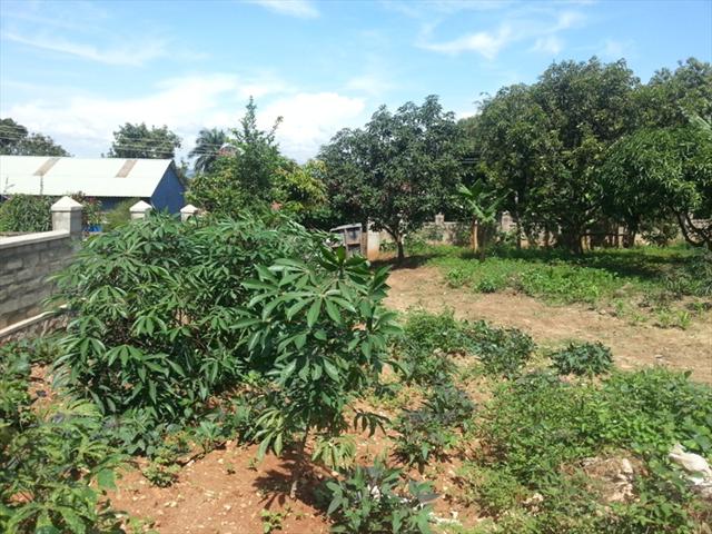 Residential Land for sale in Munyonyo Kampala