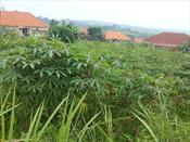 Residential Land for sale in Bwebajja Wakiso