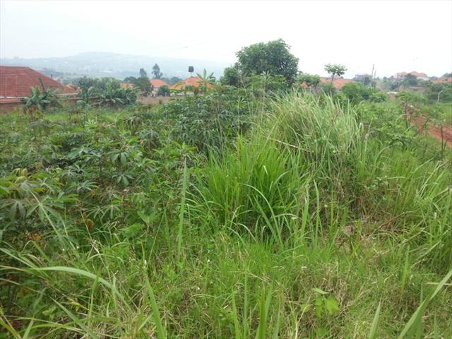 Residential Land for sale in Bwebajja Wakiso