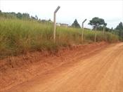 Residential Land for sale in Bwebajja Wakiso