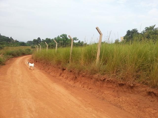 Residential Land for sale in Bwebajja Wakiso