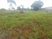 Residential Land for sale in Bwebajja Wakiso