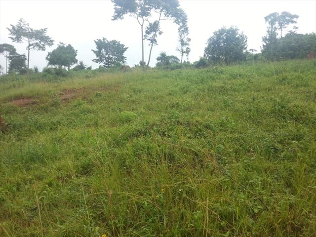 Residential Land for sale in Bwebajja Wakiso