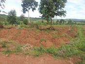 Residential Land for sale in Kitende Wakiso