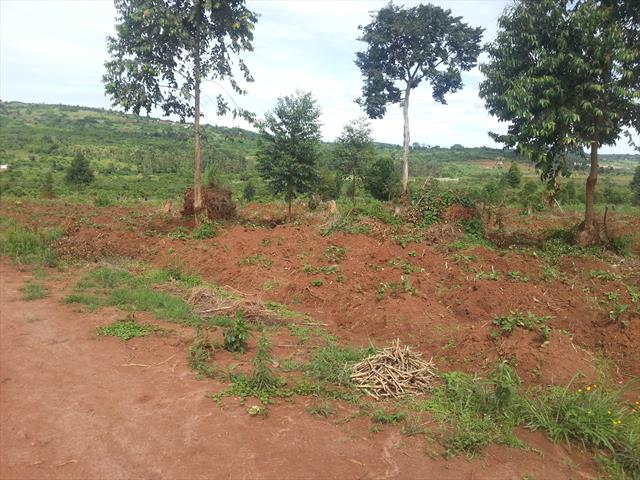 Residential Land for sale in Kitende Wakiso