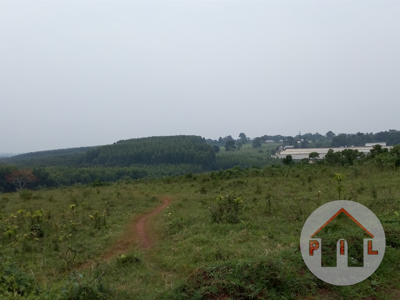 Residential Land for sale in Lwamata Kiboga