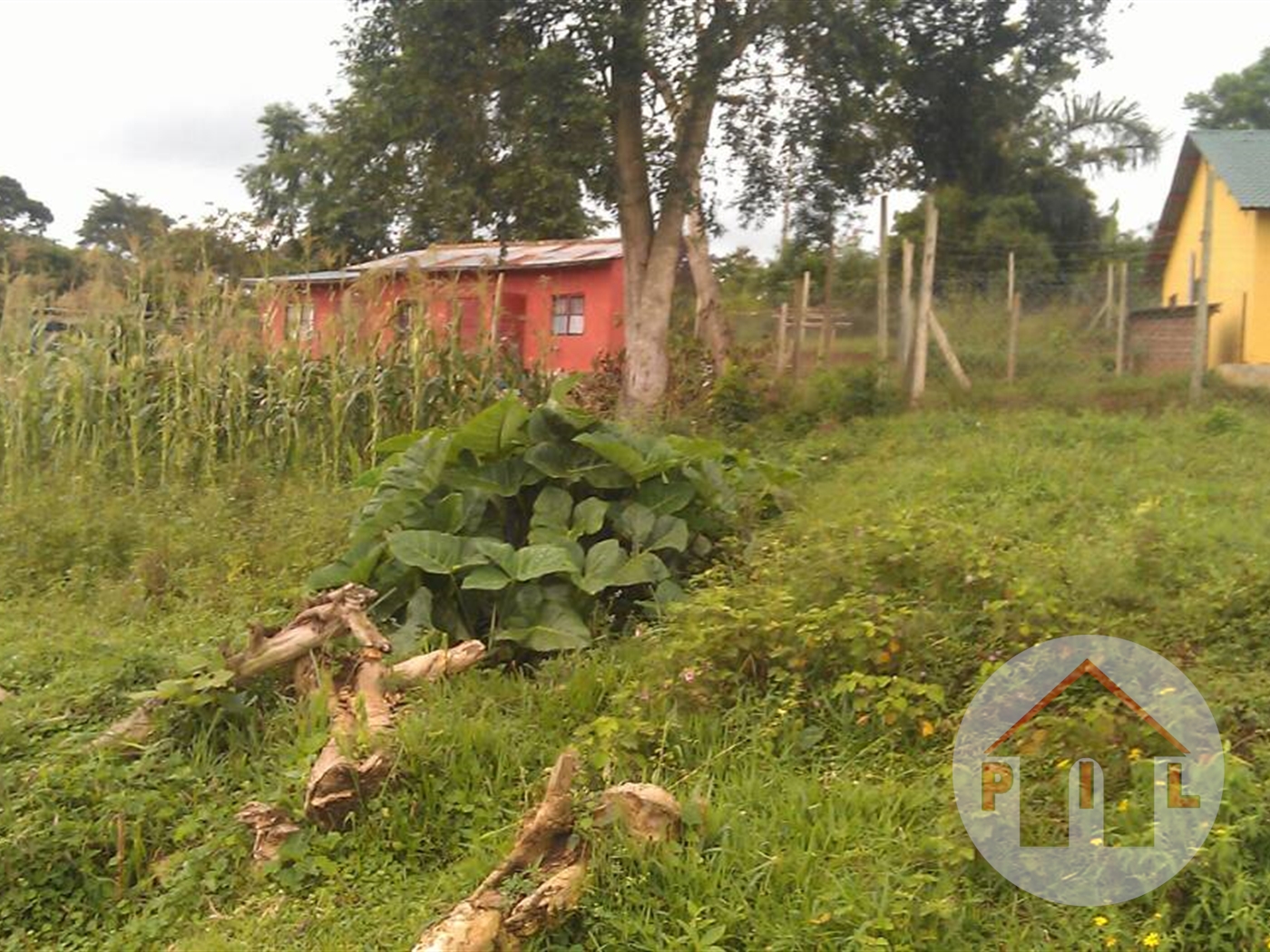 Agricultural Land for sale in Nkokonjeru Wakiso