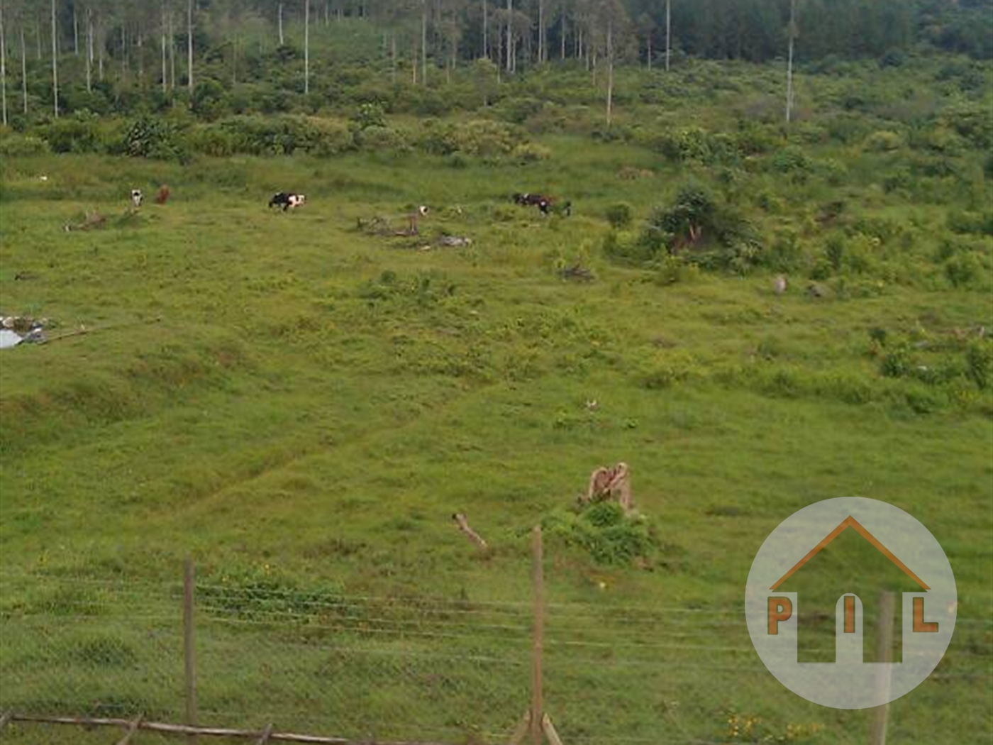 Agricultural Land for sale in Nkokonjeru Wakiso