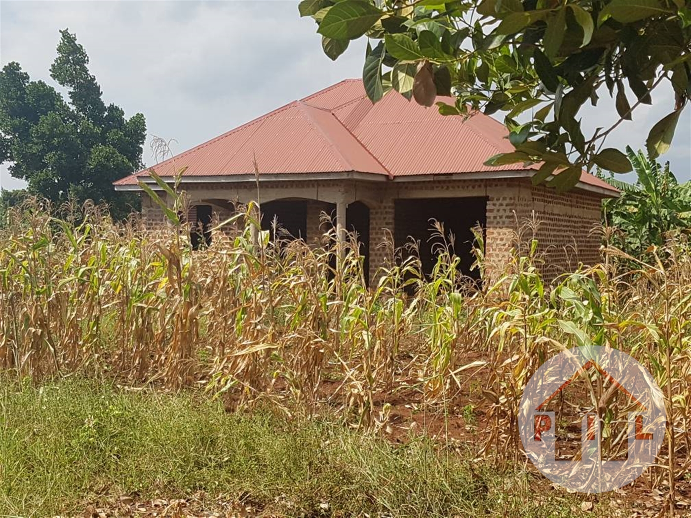 Residential Land for sale in Kalungu Luweero