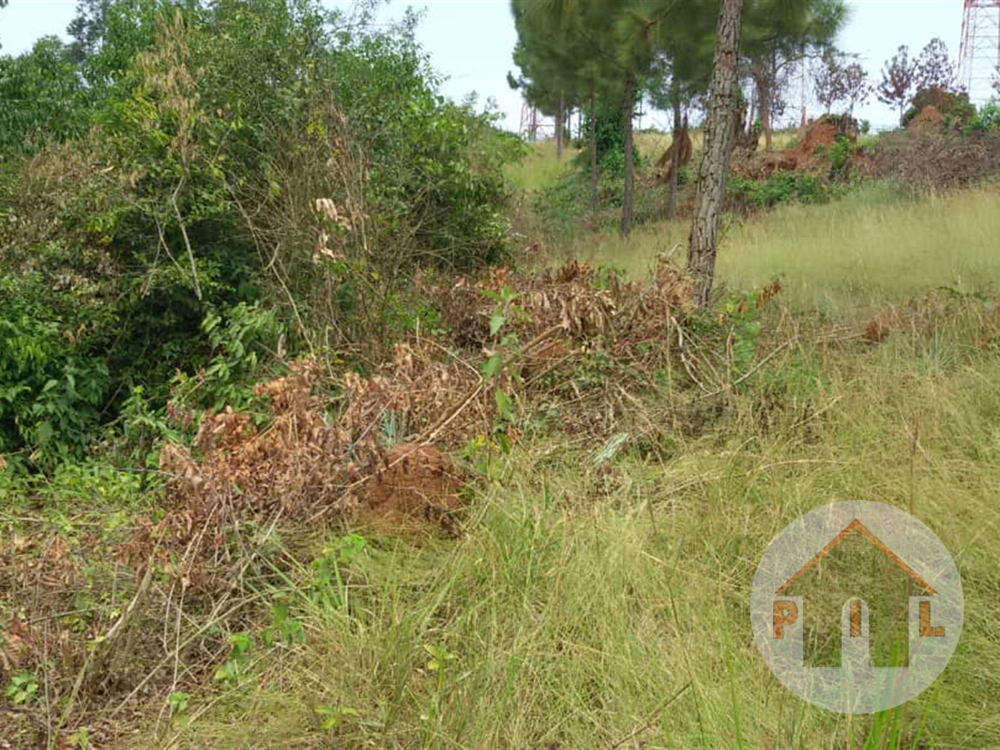 Residential Land for sale in Bajjo Mukono