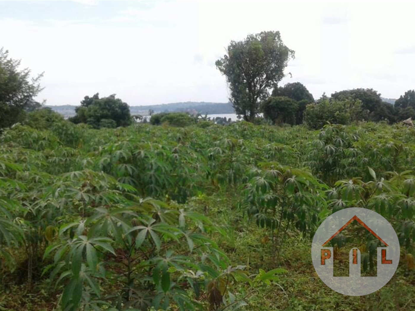 Agricultural Land for sale in Busiika Luweero