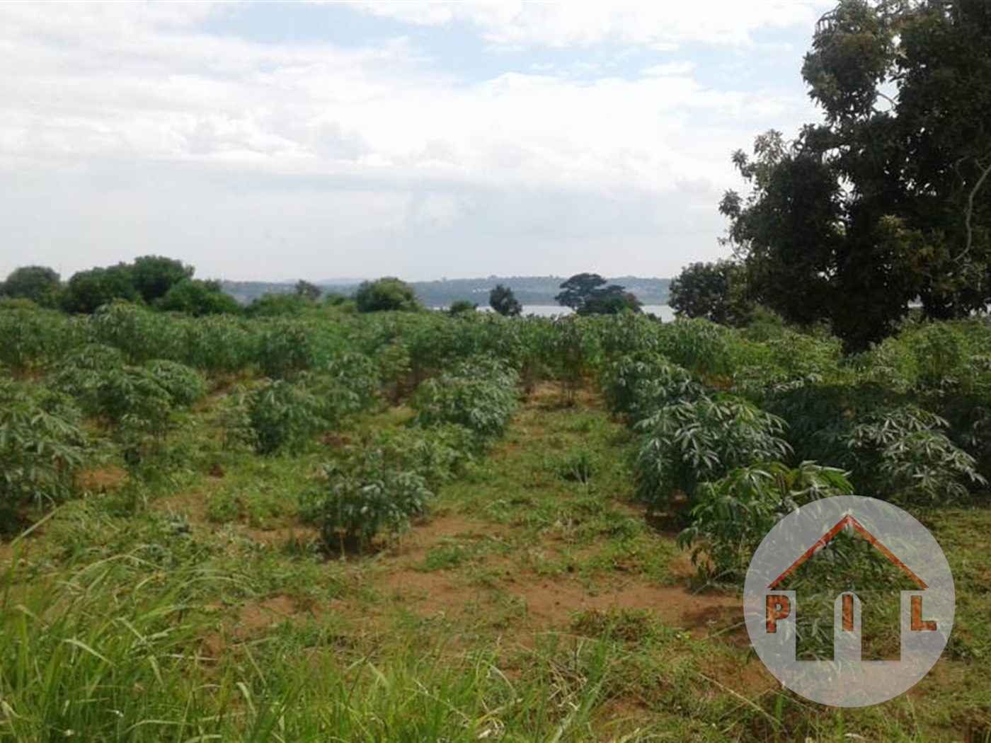 Agricultural Land for sale in Busiika Luweero