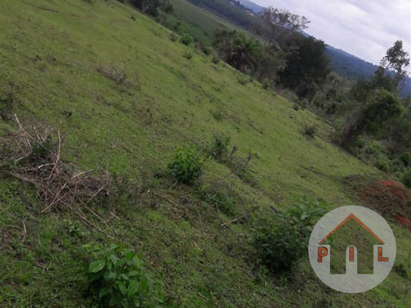 Agricultural Land for sale in Gomba Wakiso