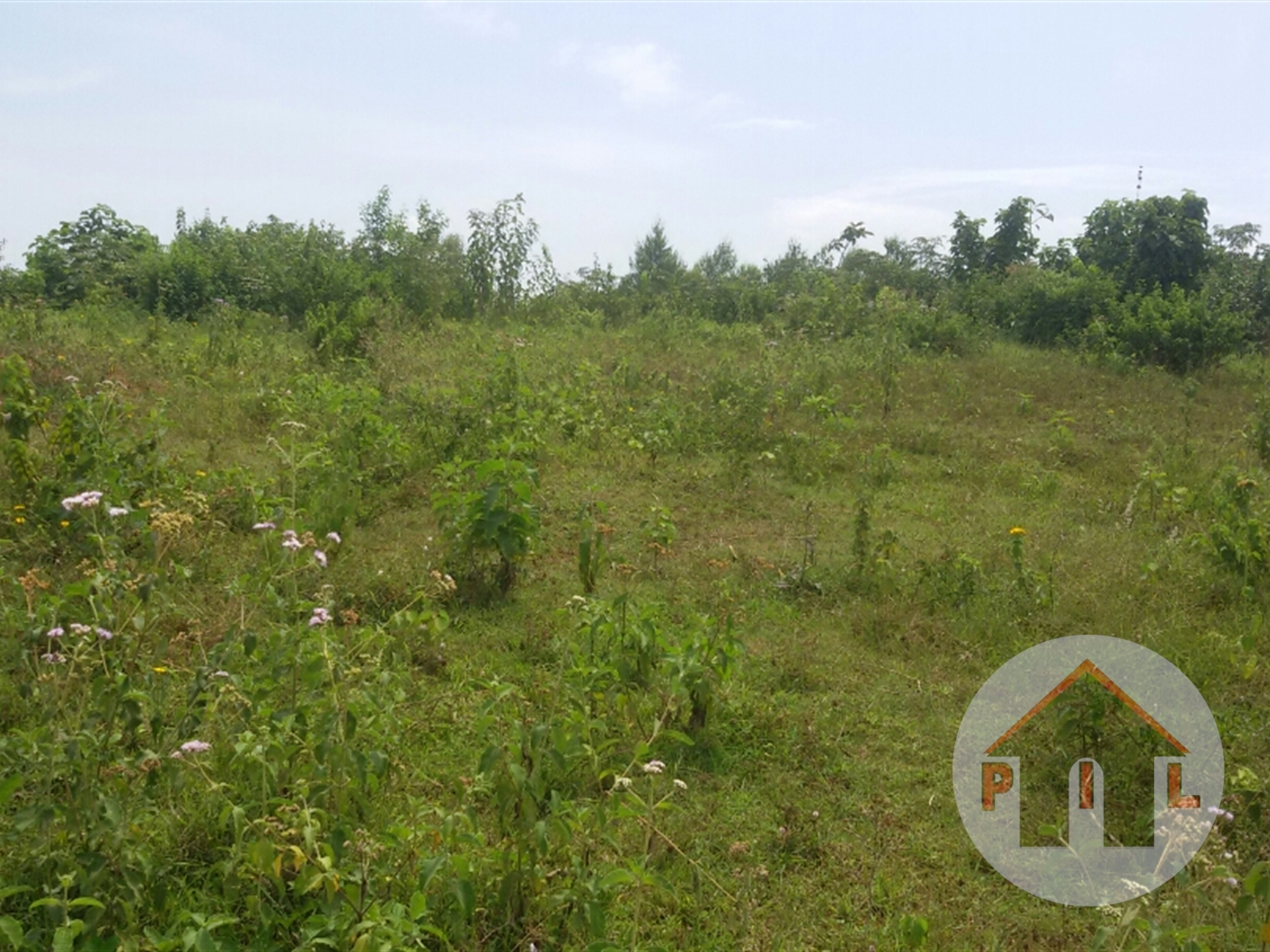 Agricultural Land for sale in Bulami Luweero