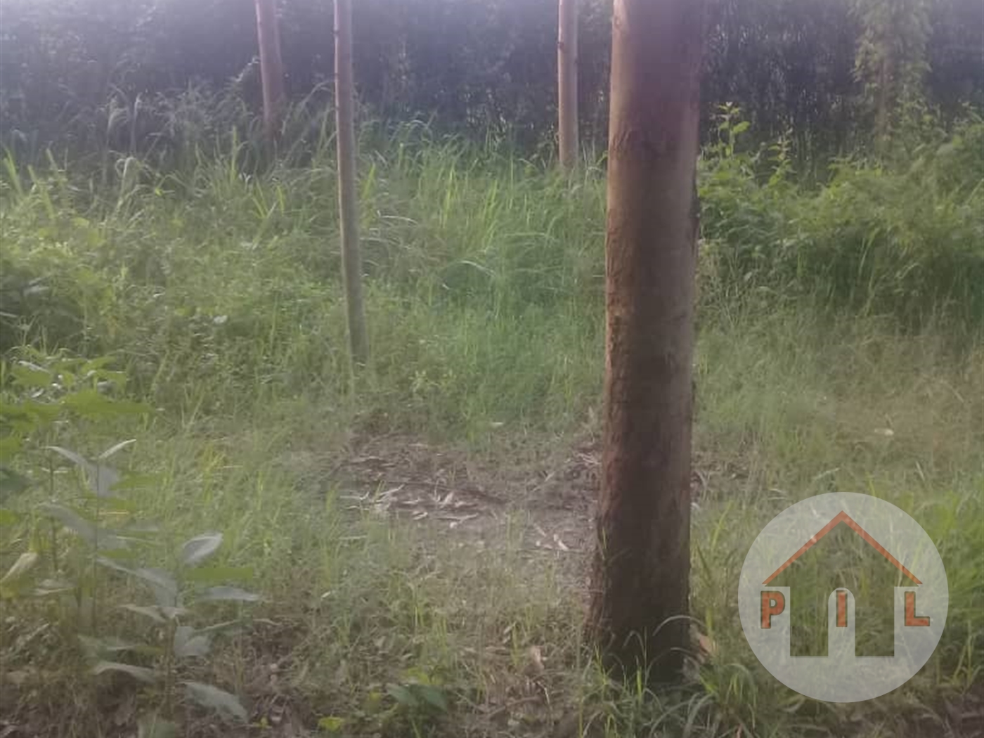 Agricultural Land for sale in Janda Luweero