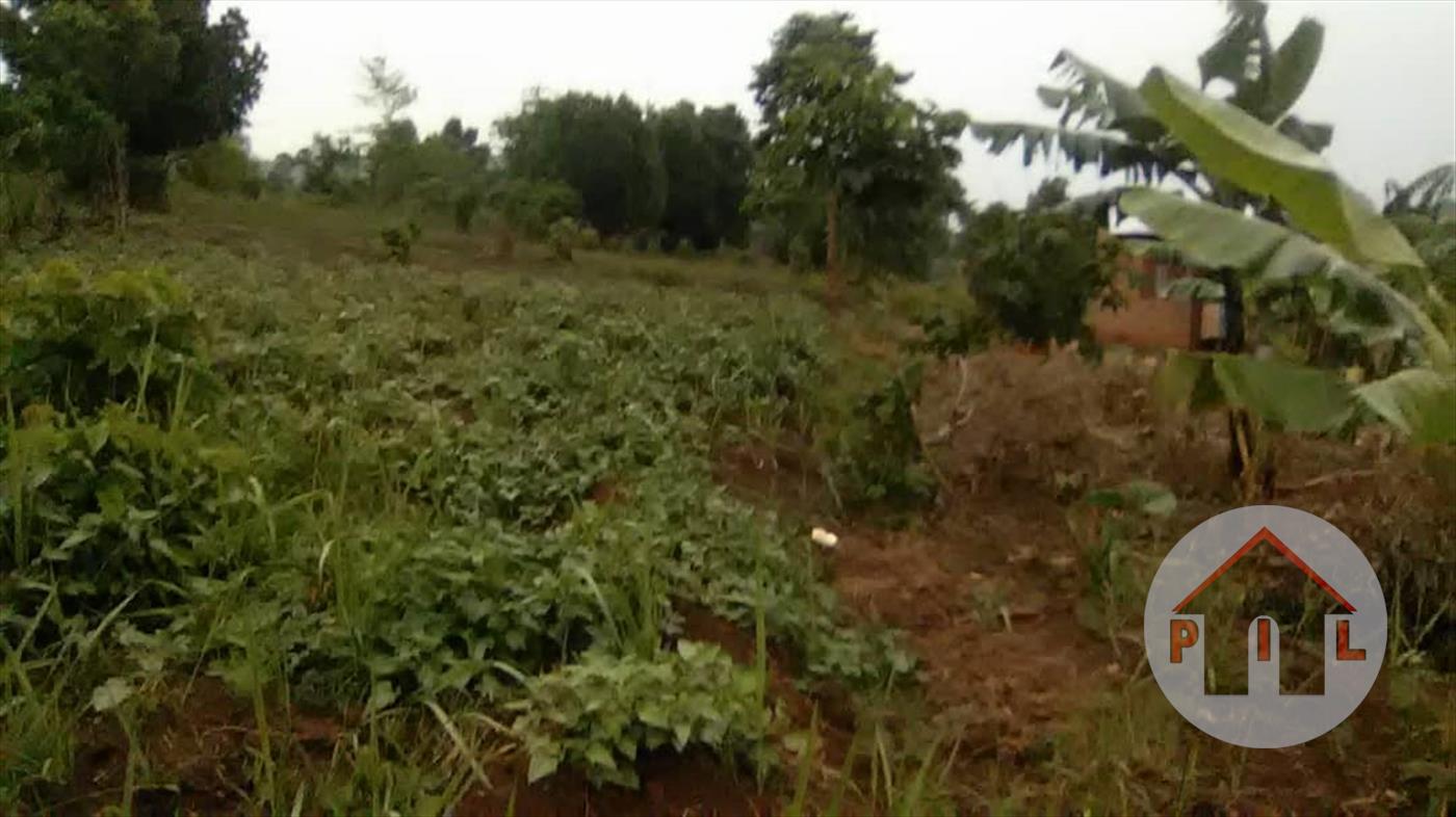Agricultural Land for sale in Wakisotowncenter Wakiso