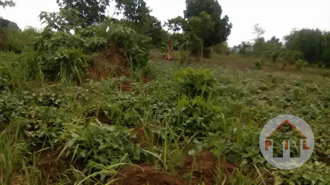 Agricultural Land for sale in Wakisotowncenter Wakiso