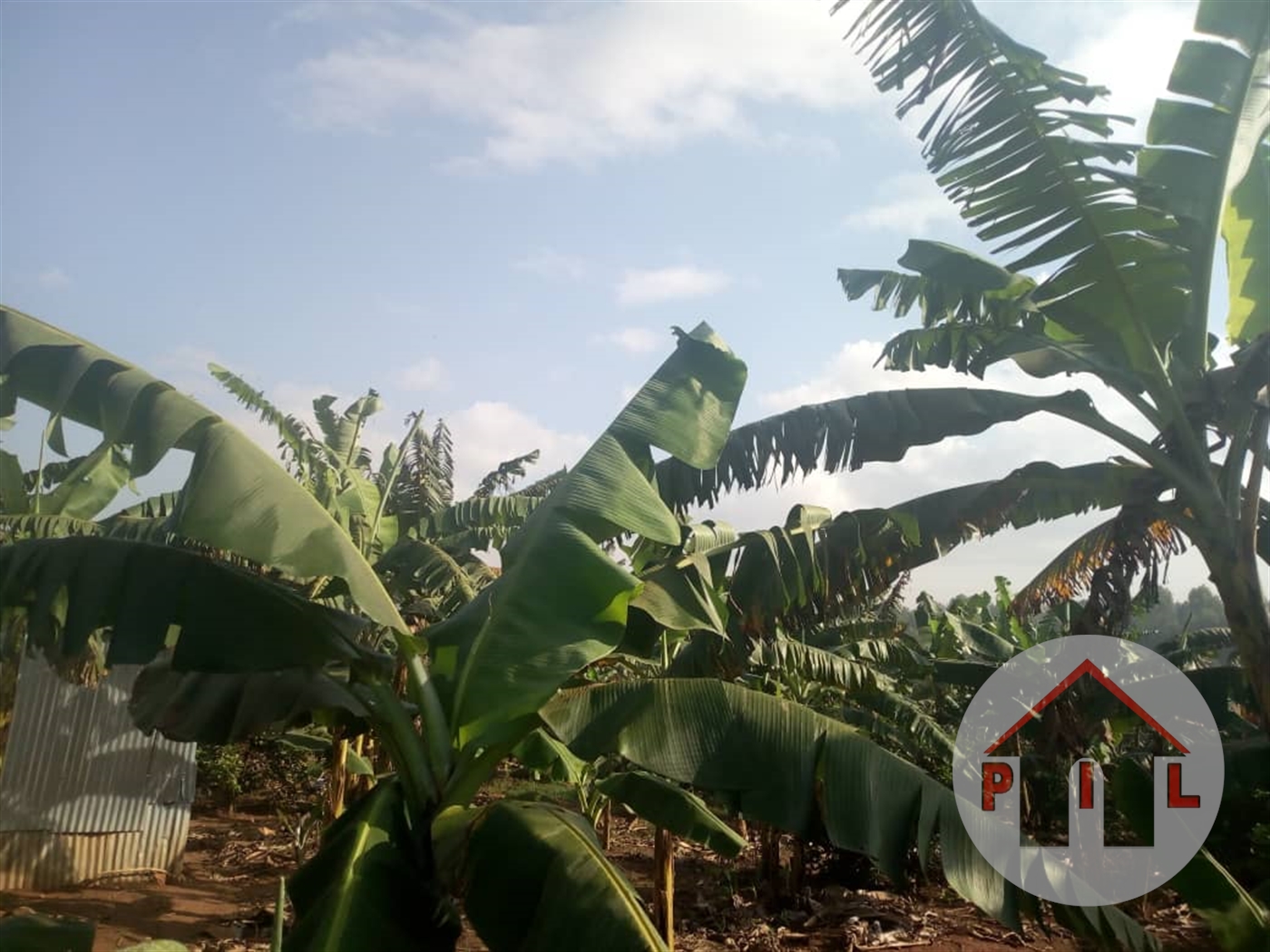 Multipurpose Land for sale in Kira Wakiso