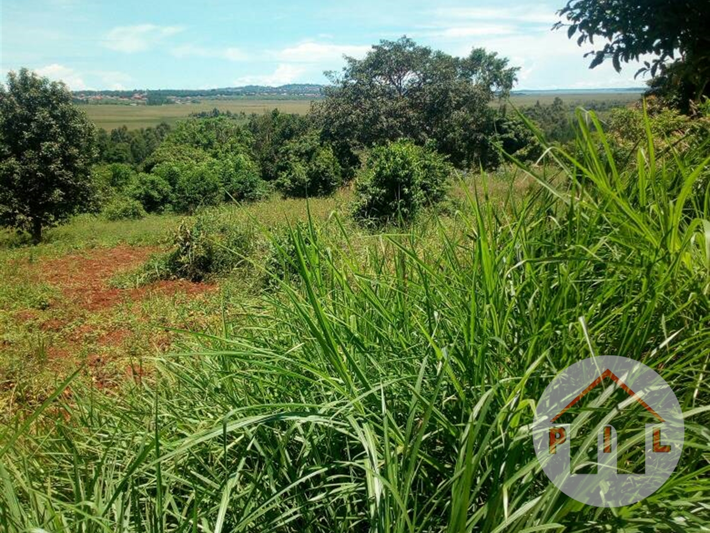 Commercial Land for sale in Bombo Luweero