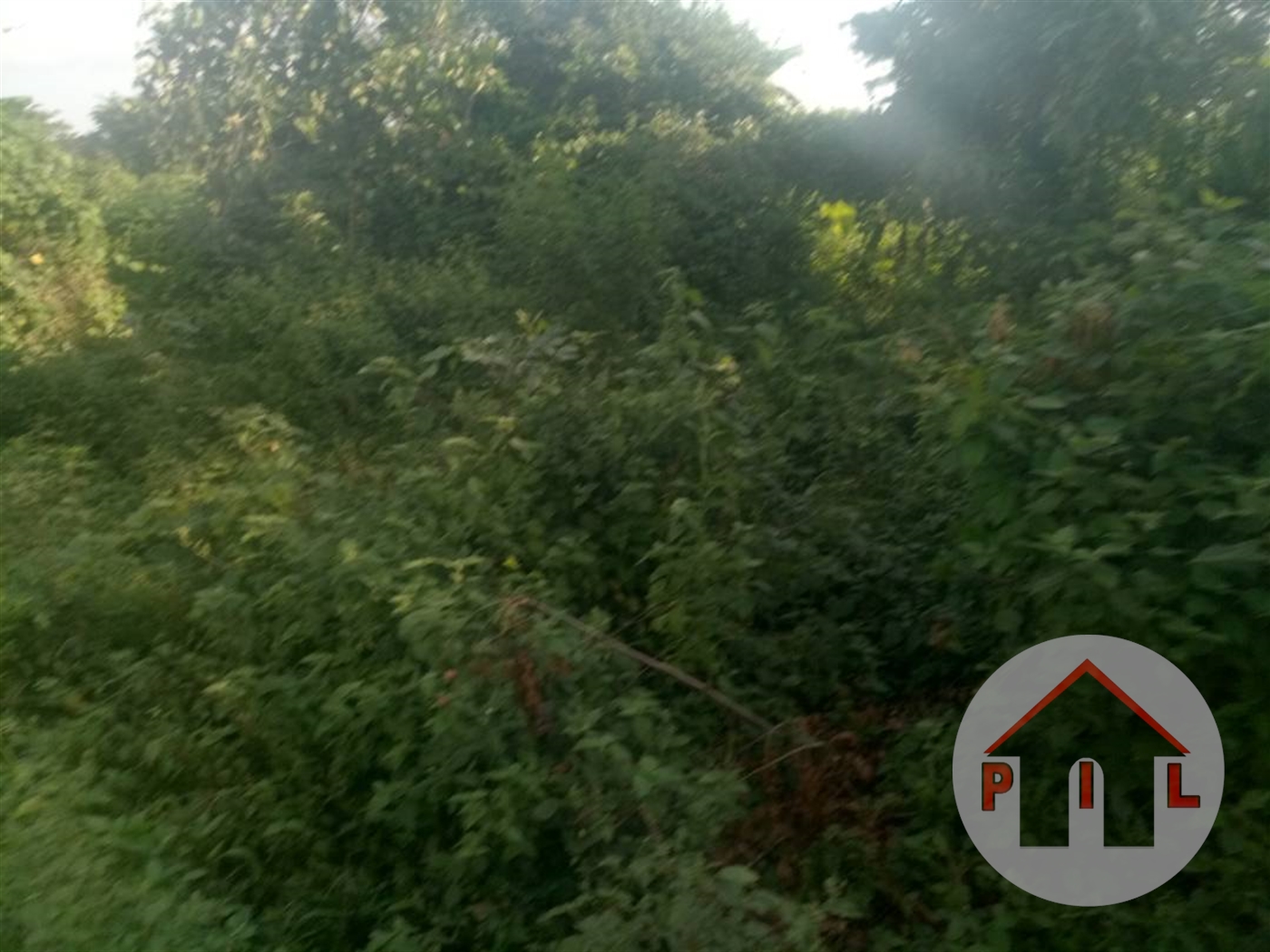 Commercial Land for sale in Kakiri Wakiso