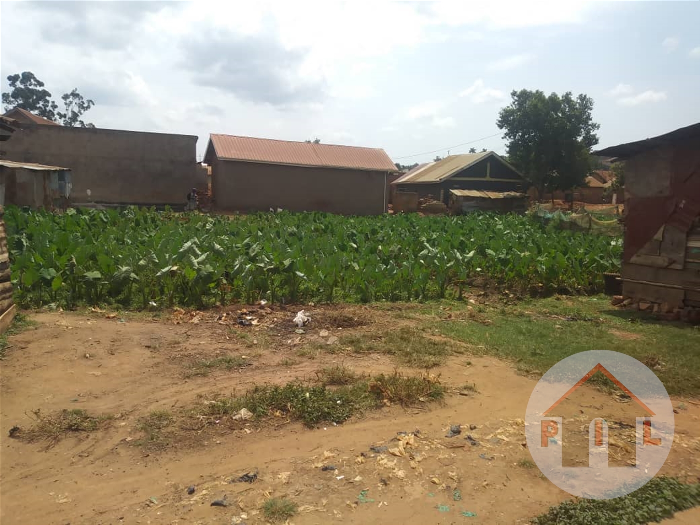 Commercial Land for sale in Munyonyo Kampala