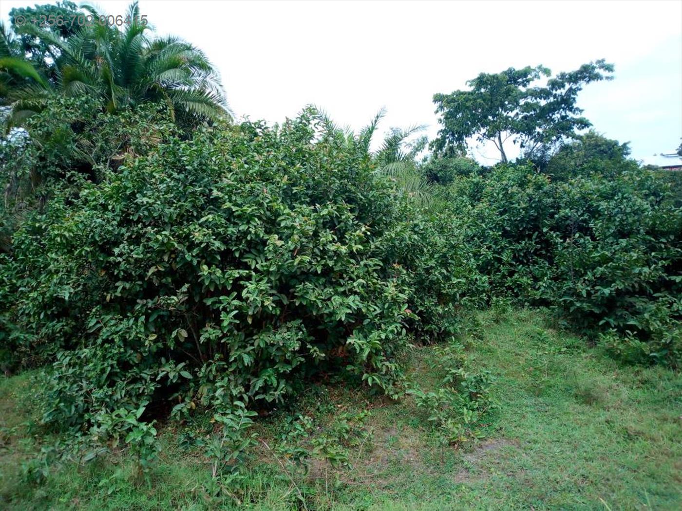 Residential Land for sale in Bukuya Wakiso