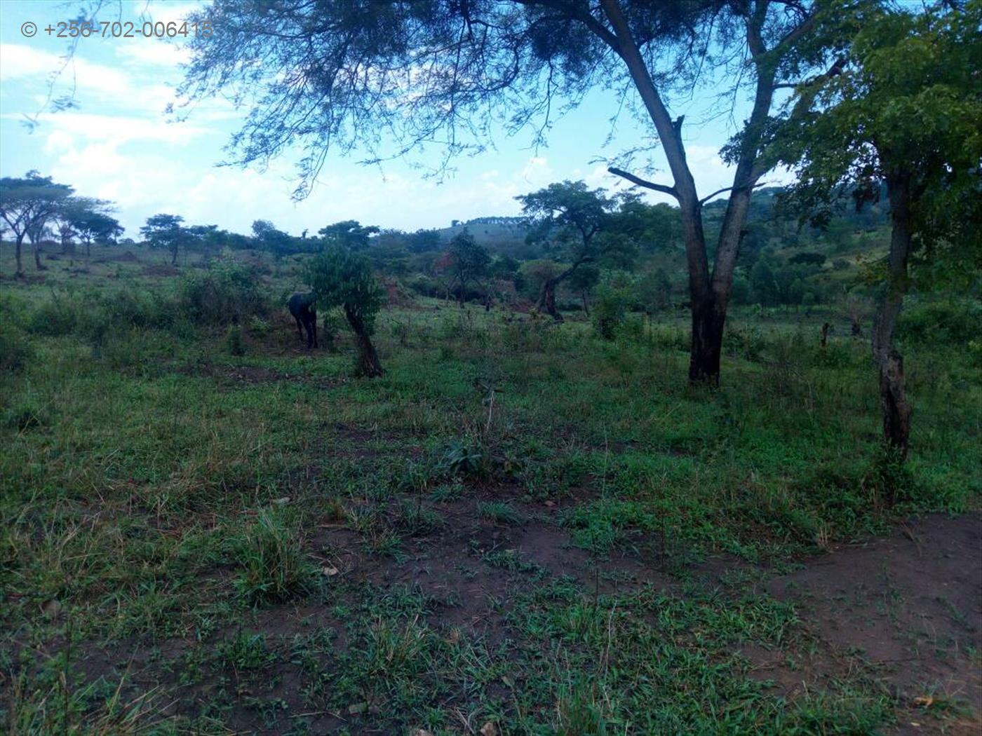 Residential Land for sale in Bukuya Wakiso