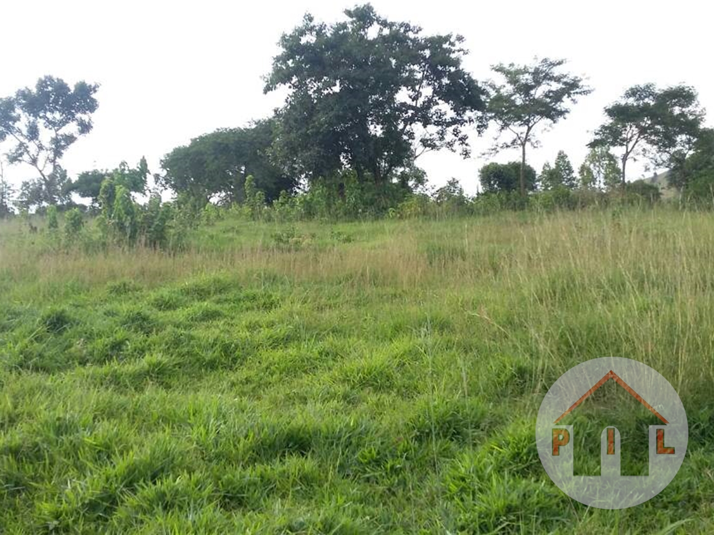 Multipurpose Land for sale in Kiwenda Wakiso