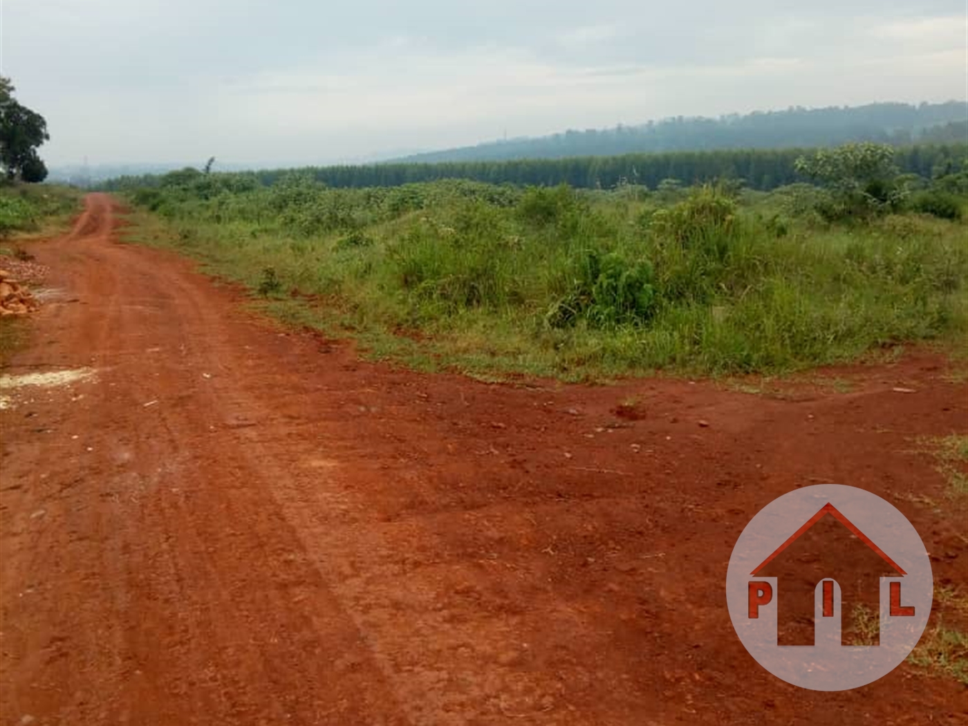 Agricultural Land for sale in Bugerere Kayunga