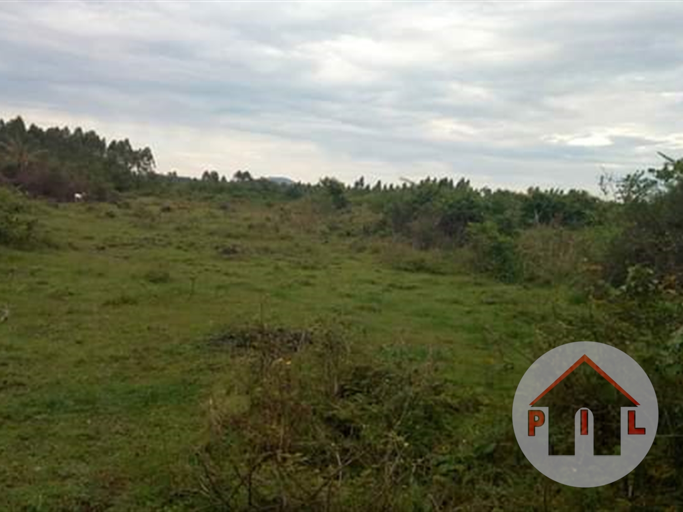 Agricultural Land for sale in Bukatabira Mayuge