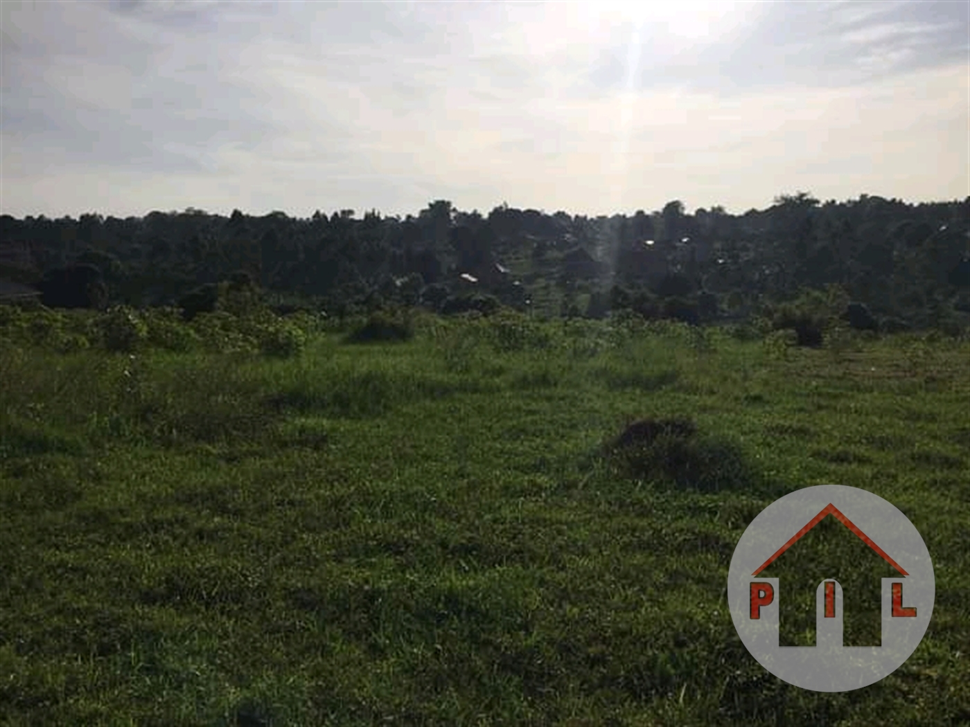 Agricultural Land for sale in Bwiza Kamuli