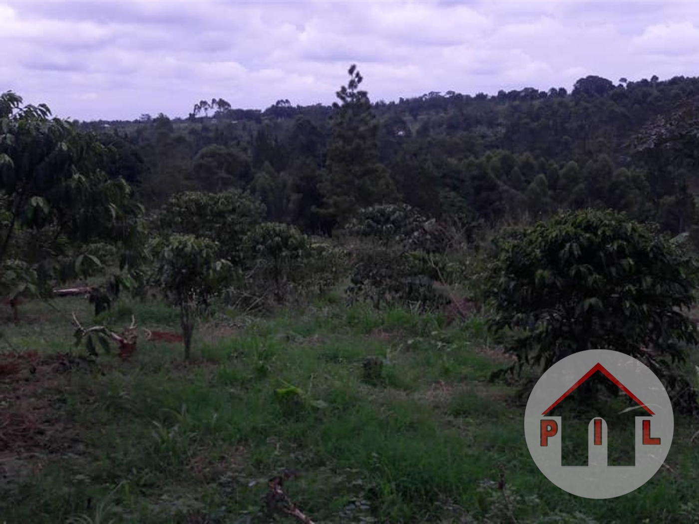 Agricultural Land for sale in Bwiza Kamuli