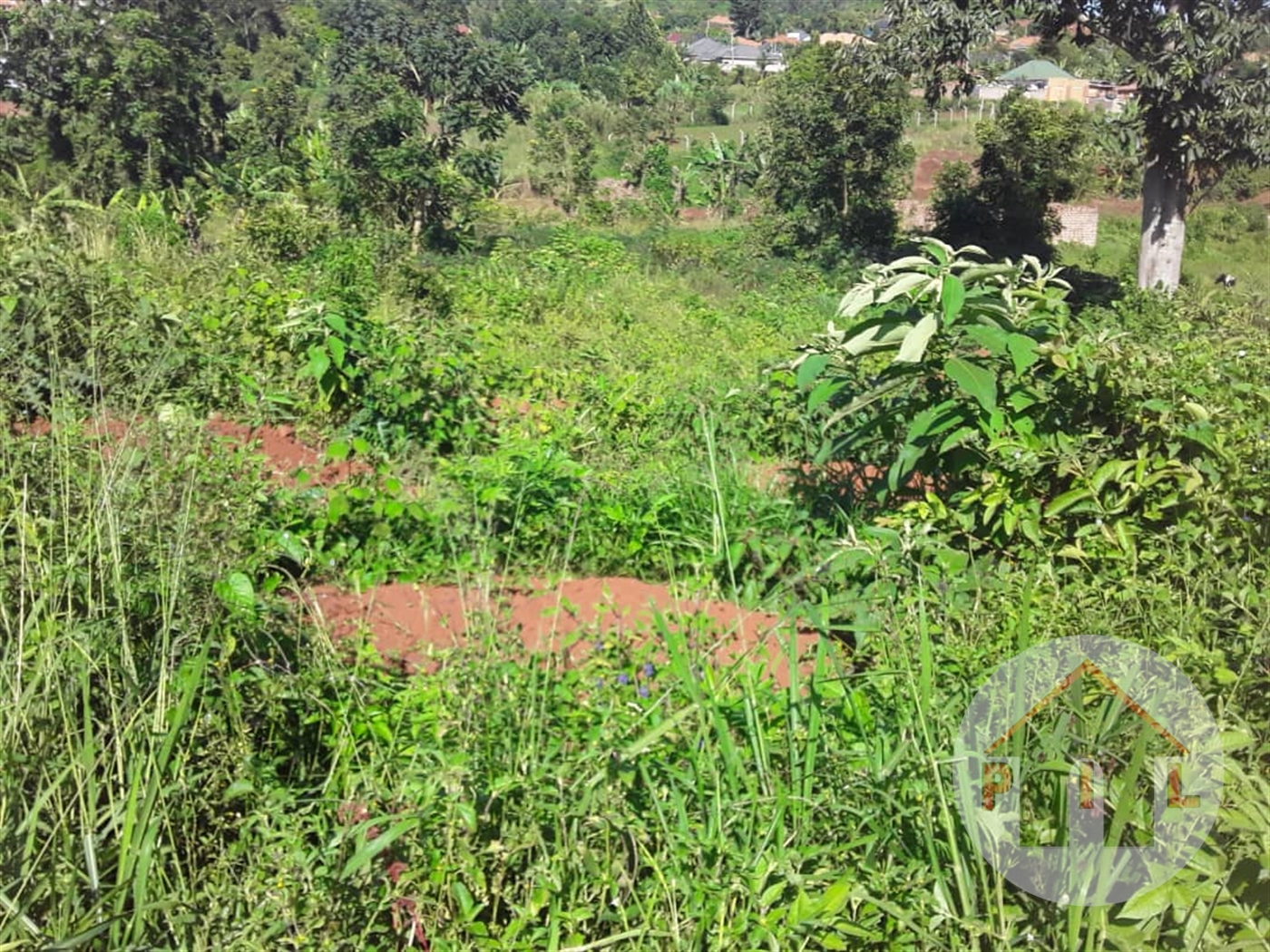 Residential Land for sale in Muyenga Kampala