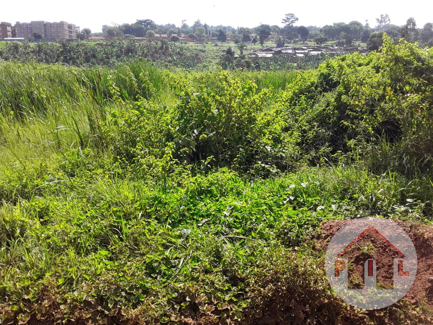 Agricultural Land for sale in Bwebajja Wakiso