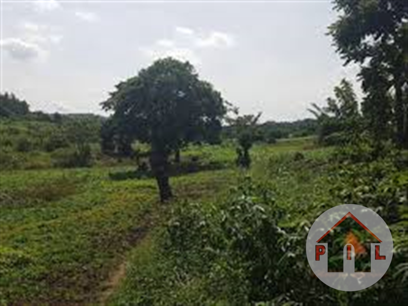 Agricultural Land for sale in Kayunga Kayunga