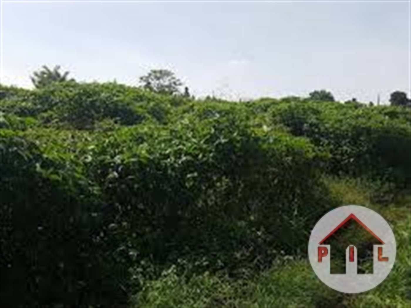 Agricultural Land for sale in Kayunga Kayunga