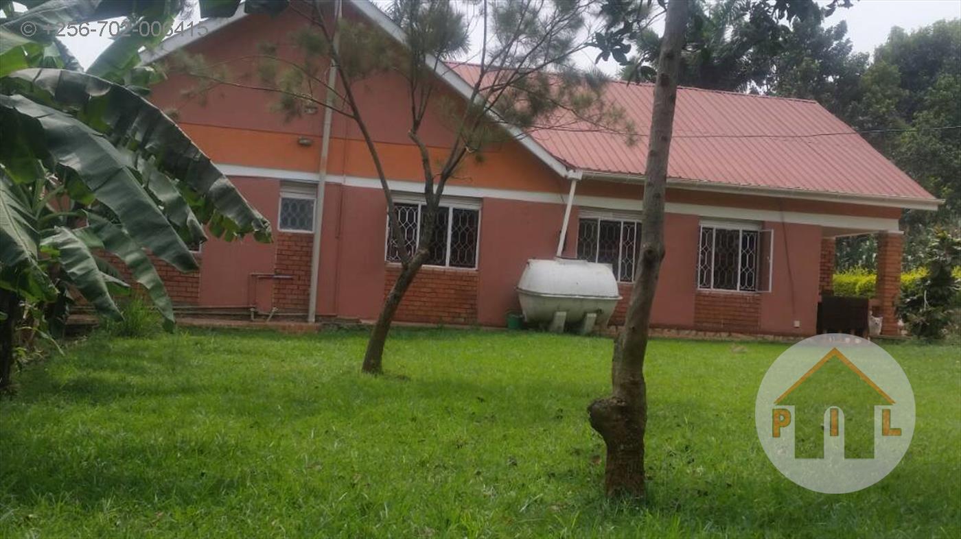 Bungalow for rent in Muyenga Kampala