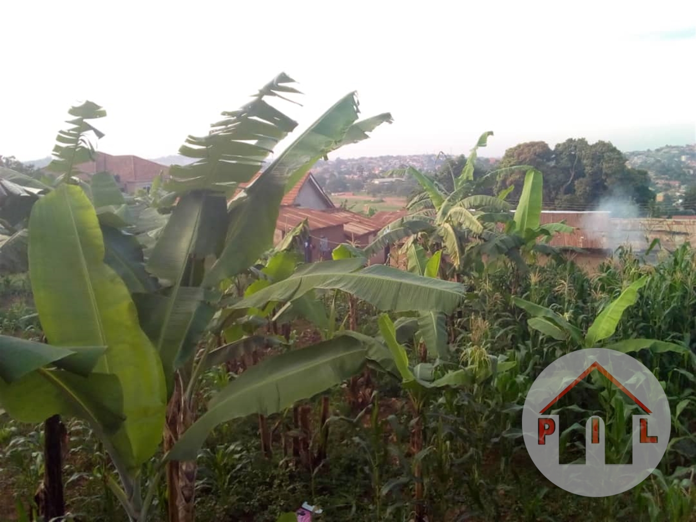 Residential Land for sale in Matugga Wakiso