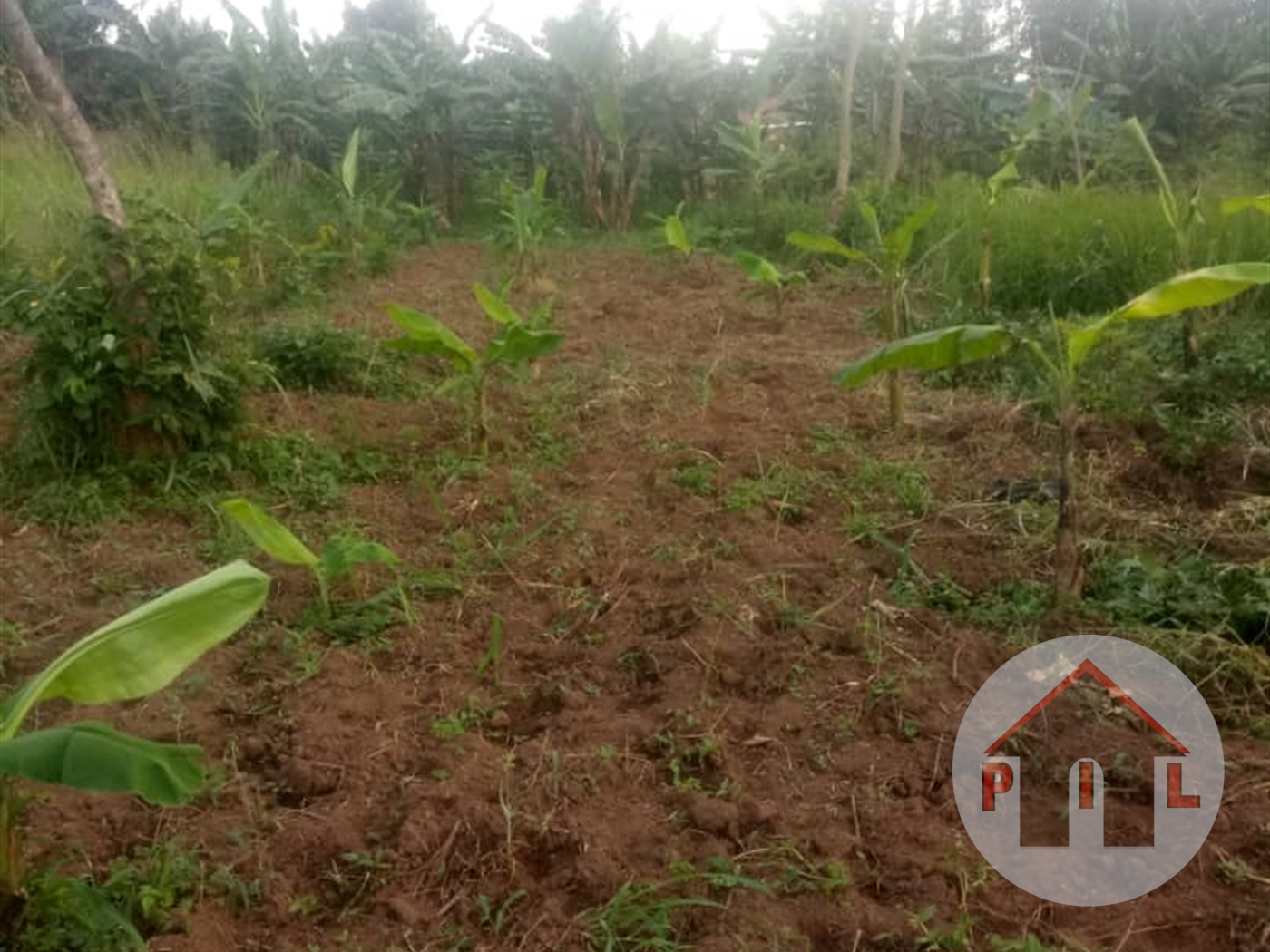 Agricultural Land for sale in Mulawa Wakiso