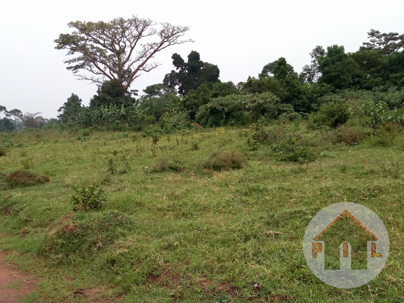 Agricultural Land for sale in Ziloobwe Luweero