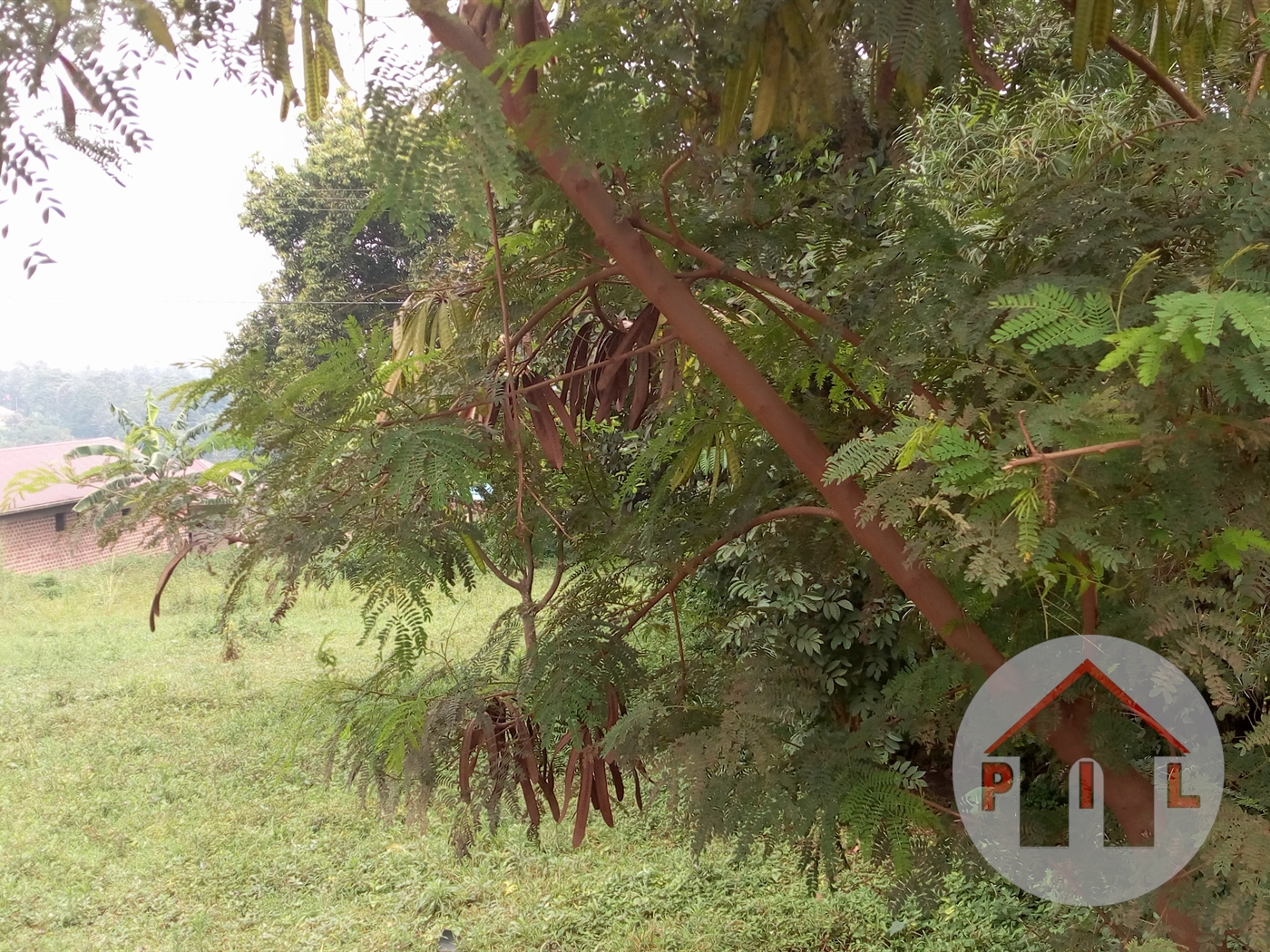 Residential Land for sale in Zana Wakiso