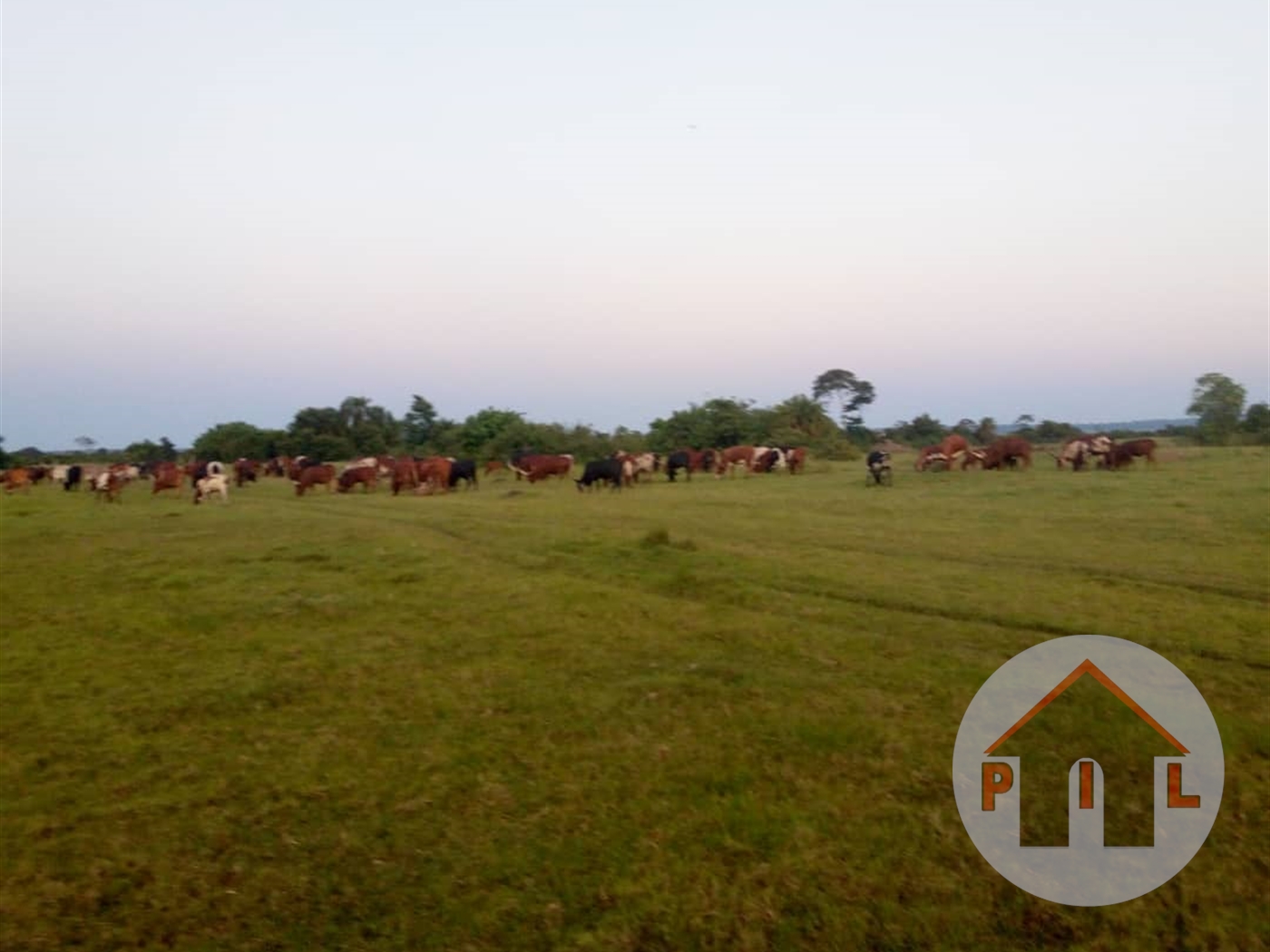 Agricultural Land for sale in Mukono Masaka