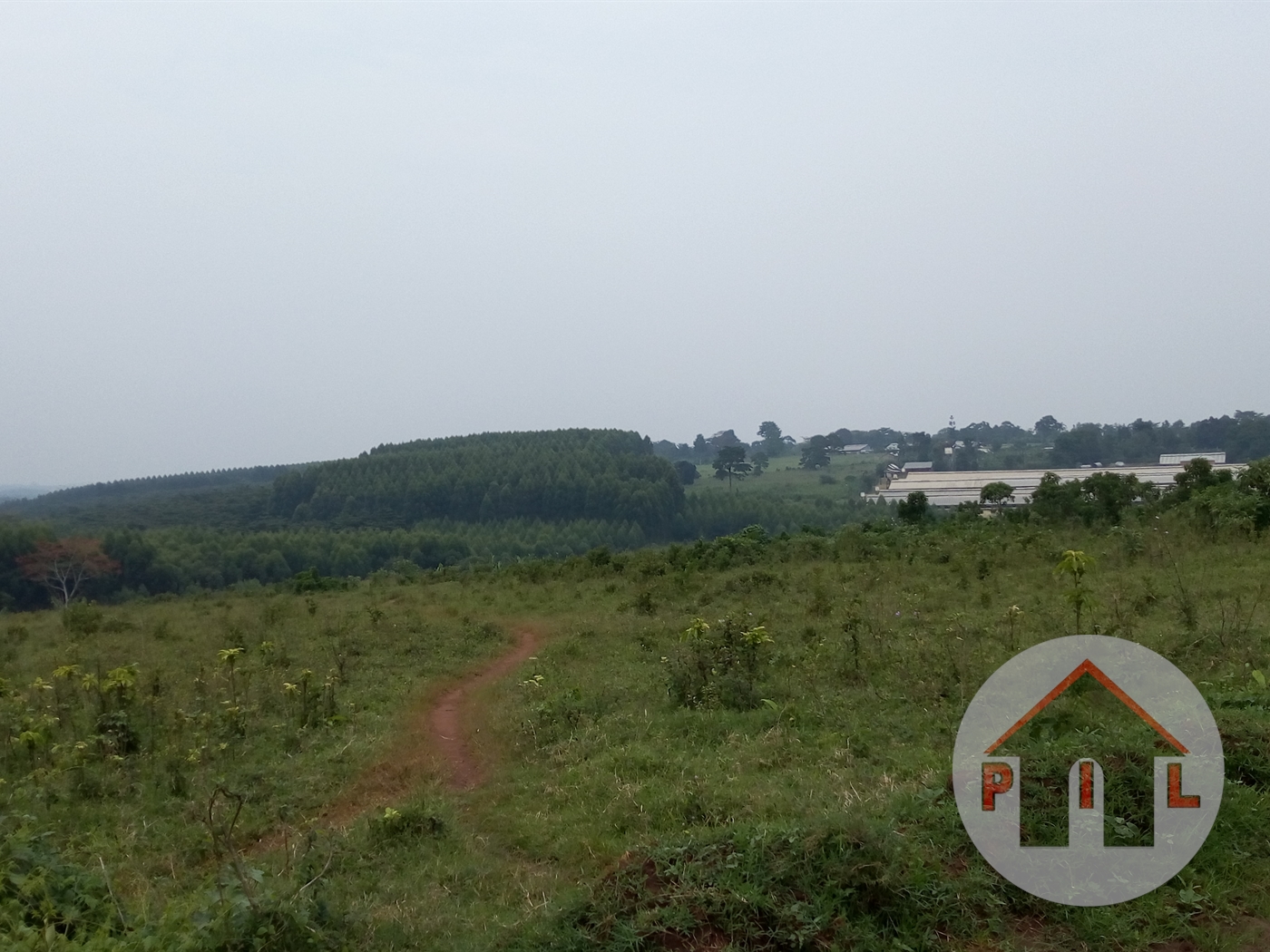 Residential Land for sale in Kaliisizo Masaka