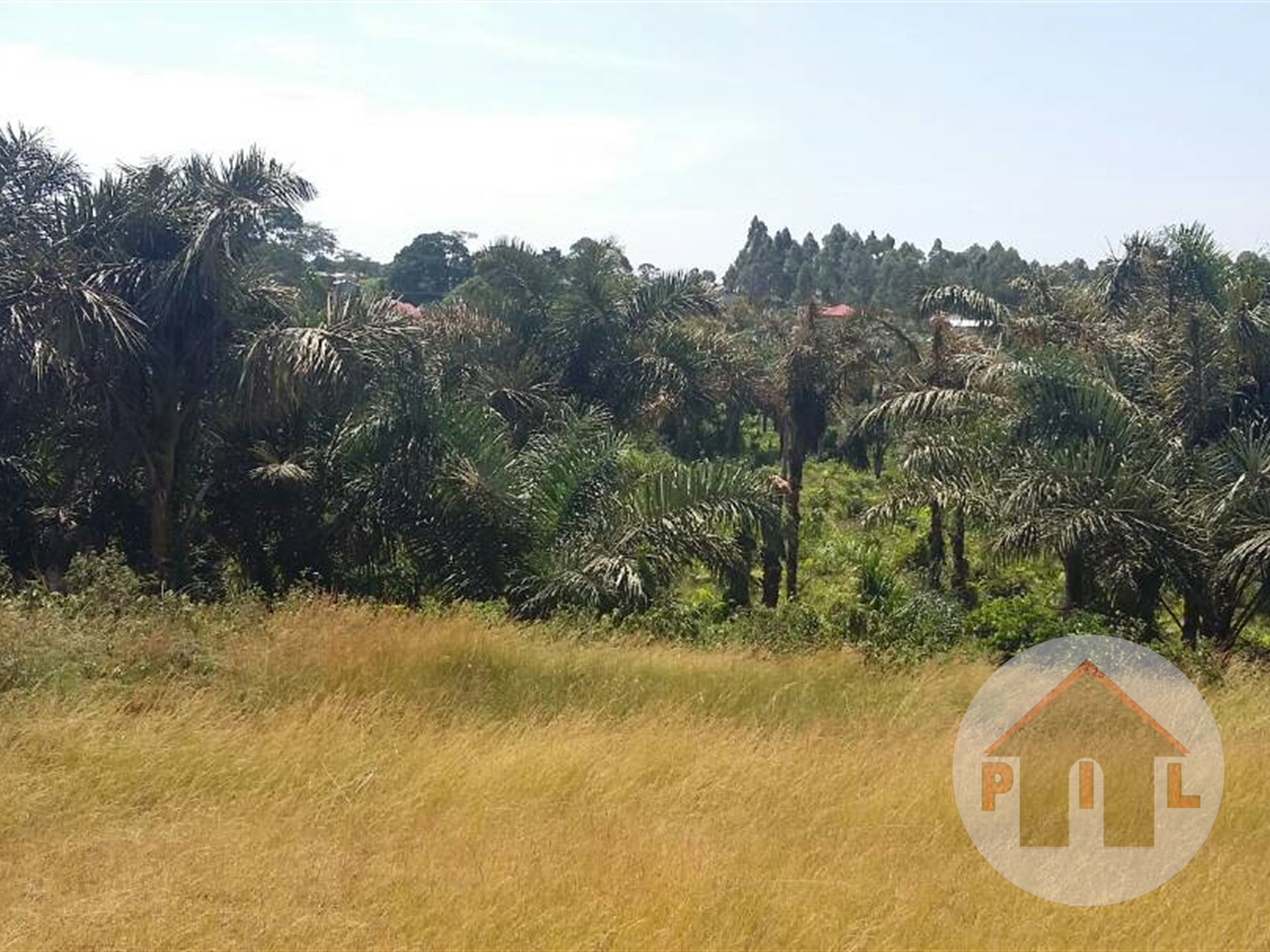 Residential Land for sale in Entebbe Wakiso